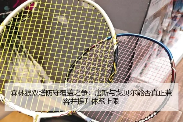 森林狼双塔防守覆盖之争：唐斯与戈贝尔能否真正兼容并提升体系上限